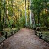 Top Things to Do in Ramona: Wineries, Nature Trails & Peaceful Outdoor Living Near Your Stay