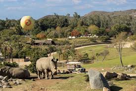 Top Things to Do in San Diego: Zoo, Safari Park, Beaches & Hidden Gems