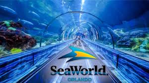 Things to Do in Orlando, Florida: Theme Parks, Local Food & Hidden Gems You’ll Love
