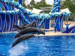Things to Do in Orlando, Florida: Theme Parks, Local Food & Hidden Gems You’ll Love