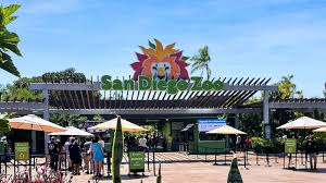 Top Things to Do in San Diego: Zoo, Safari Park, Beaches & Hidden Gems