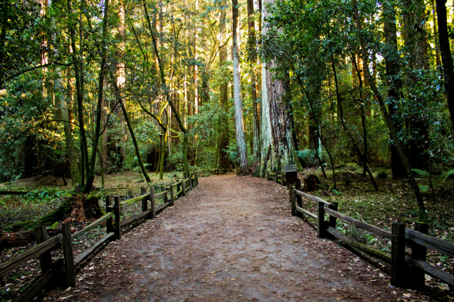 Top Things to Do in Ramona: Wineries, Nature Trails & Peaceful Outdoor Living Near Your Stay